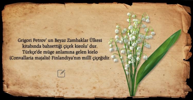 Beyaz Zambaklar Ülkesinde – Grigory Petrov