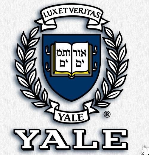 Lawrence Larry Ellison’un Yale Üniversitesi Mezuniyet Töreninde Yaptığı Konuşma Üzerine Bir İnceleme Çalışması